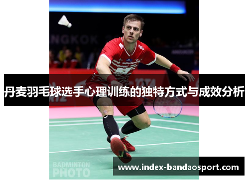 丹麦羽毛球选手心理训练的独特方式与成效分析