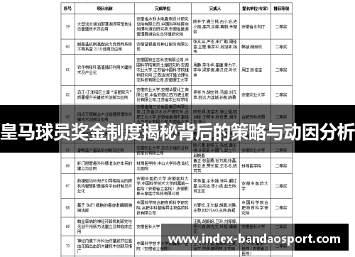 皇马球员奖金制度揭秘背后的策略与动因分析