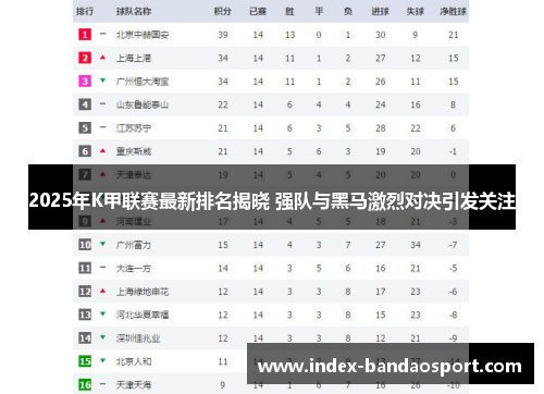 2025年K甲联赛最新排名揭晓 强队与黑马激烈对决引发关注