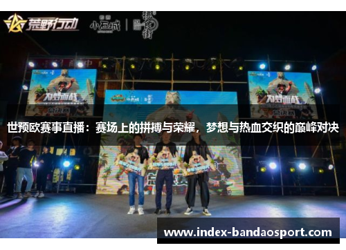 世预欧赛事直播：赛场上的拼搏与荣耀，梦想与热血交织的巅峰对决
