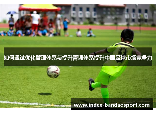 如何通过优化管理体系与提升青训体系提升中国足球市场竞争力