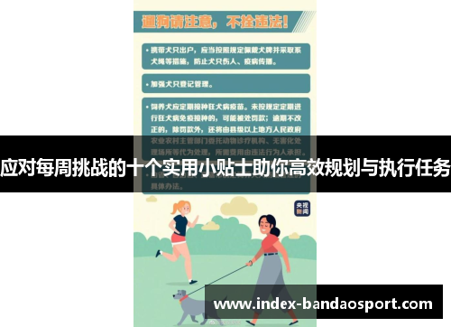 应对每周挑战的十个实用小贴士助你高效规划与执行任务