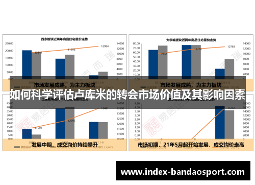 如何科学评估卢库米的转会市场价值及其影响因素