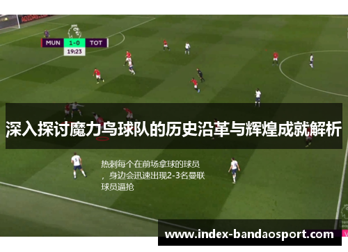 深入探讨魔力鸟球队的历史沿革与辉煌成就解析