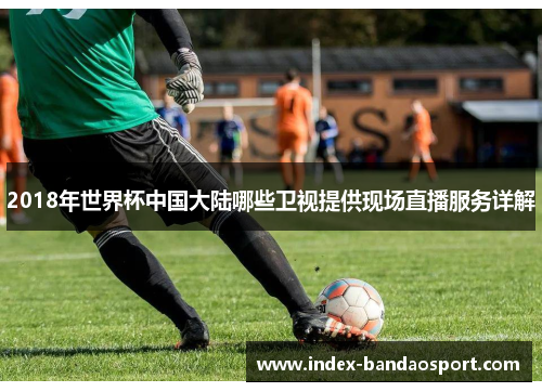 2018年世界杯中国大陆哪些卫视提供现场直播服务详解