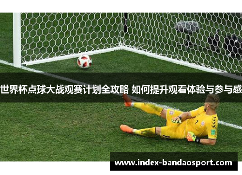 世界杯点球大战观赛计划全攻略 如何提升观看体验与参与感