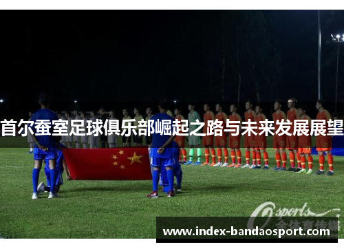 首尔蚕室足球俱乐部崛起之路与未来发展展望