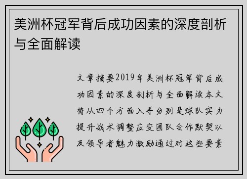美洲杯冠军背后成功因素的深度剖析与全面解读