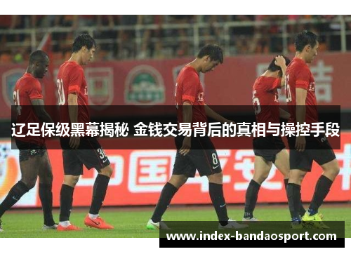 辽足保级黑幕揭秘 金钱交易背后的真相与操控手段